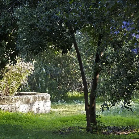 Ville Mirto Santa Flavia