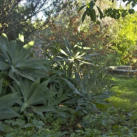 Ville Mirto Villa