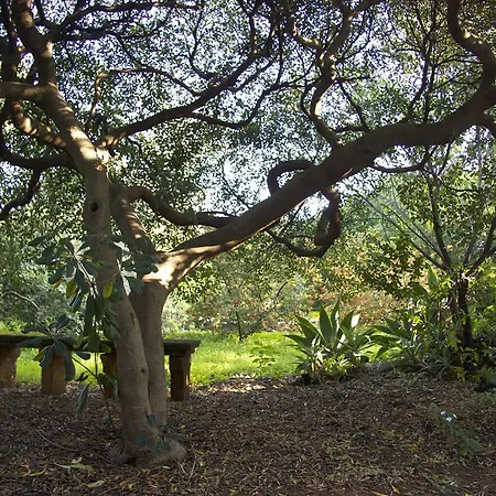 Ville Mirto Villa Santa Flavia